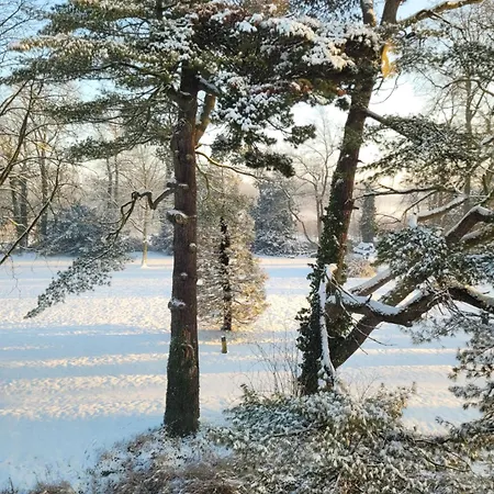 Kasteel Wolfrath B&B 3* Born