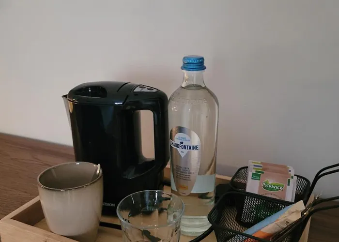 Kasteel Wolfrath 3* Борн