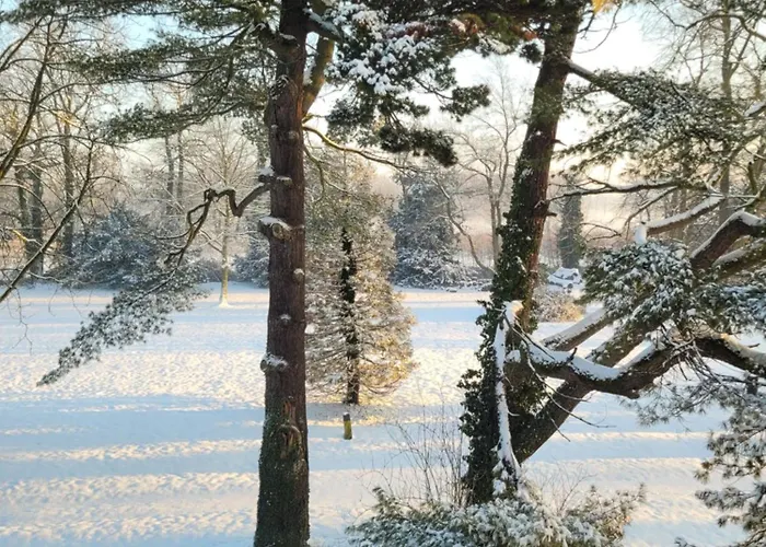 Kasteel Wolfrath 3* בורן